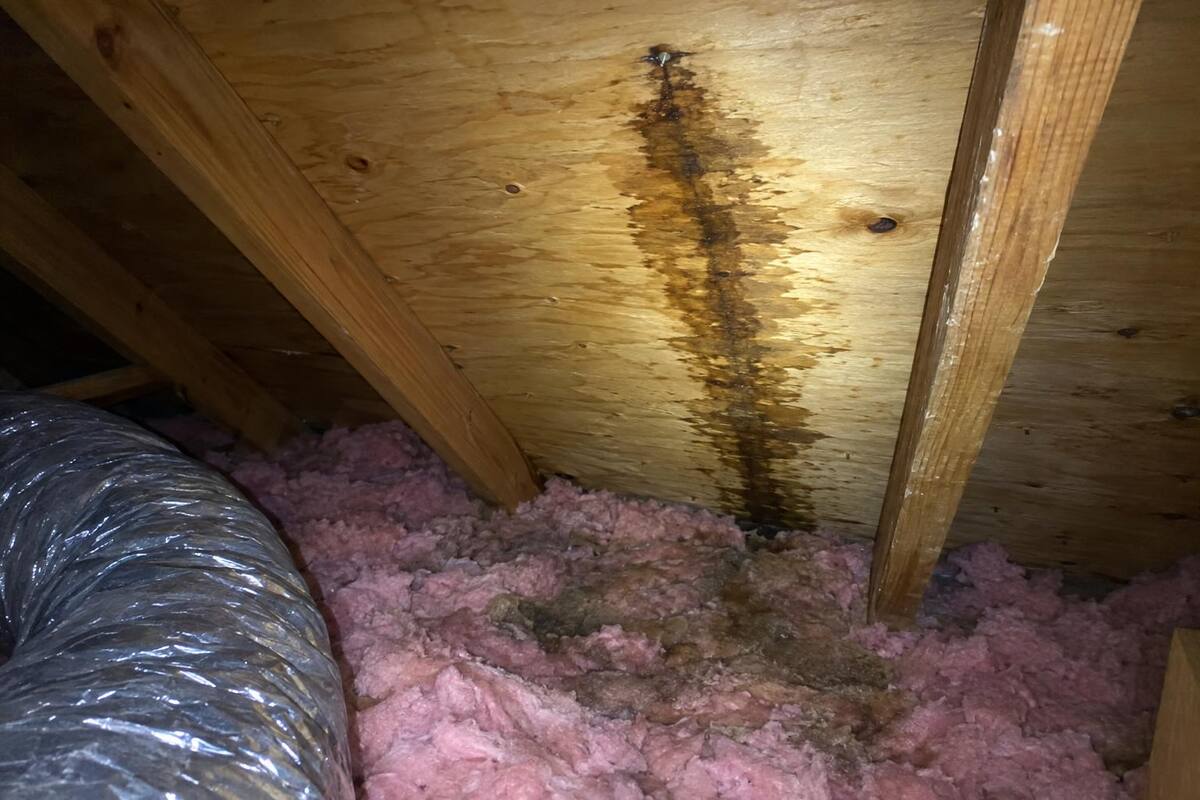 Underside of roof decking in an attic with a dark water trail running down from a nail tip