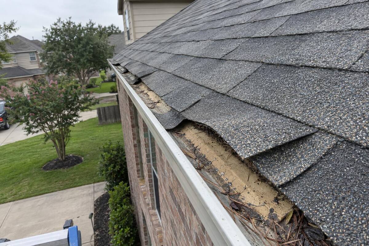 Shingle tabs lifted along a roof rake edge with bare adhesive strip and dirt visible underneath